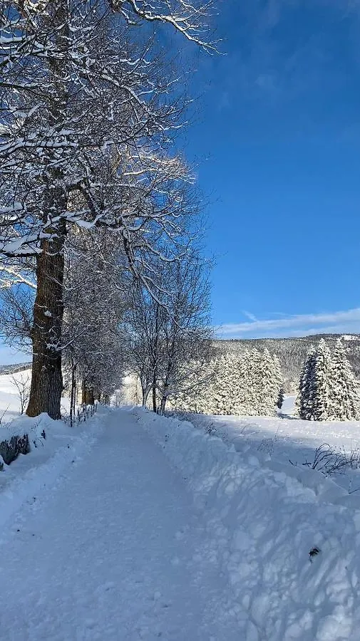 Apartmán Casa Rigoni Asiago